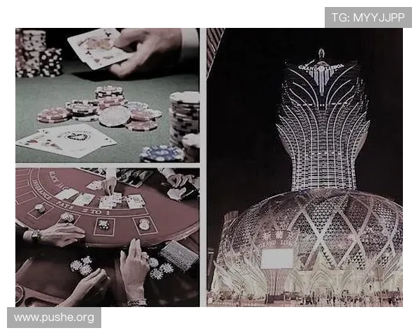 澳门新葡京真人手机版用户评价与口碑分析,真实玩家体验分享