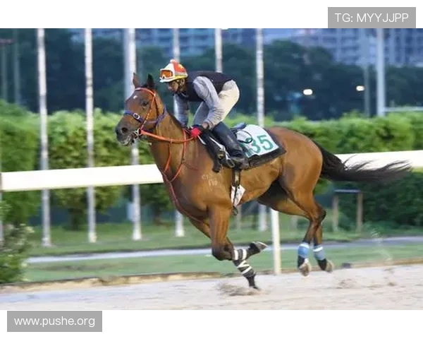 掌握澳门赛马会赛事最新动态,第一时间获取赛事资讯与赛马精彩瞬间